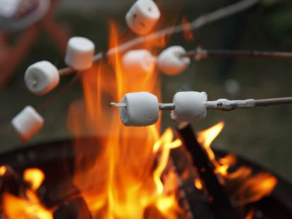 Zomerweekend PACT Wolfskuil Ommen (4)