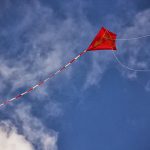 Vlieger PACT Zomerweekend 2025